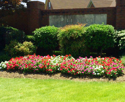 Beautiful flowerbed that is maintained should look full and clear of leaves.