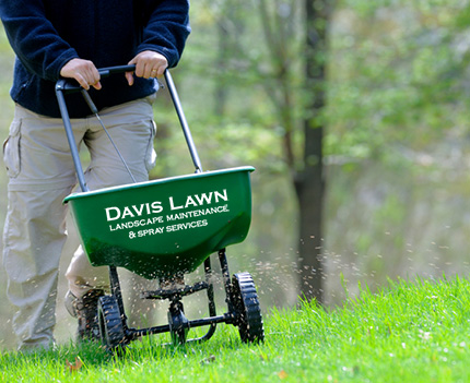 Davis Lawn and Spray and fertilization programs.